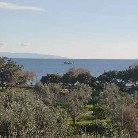Mina'S Studios In Naxos Island 아기오스프로코피오스 외부 사진