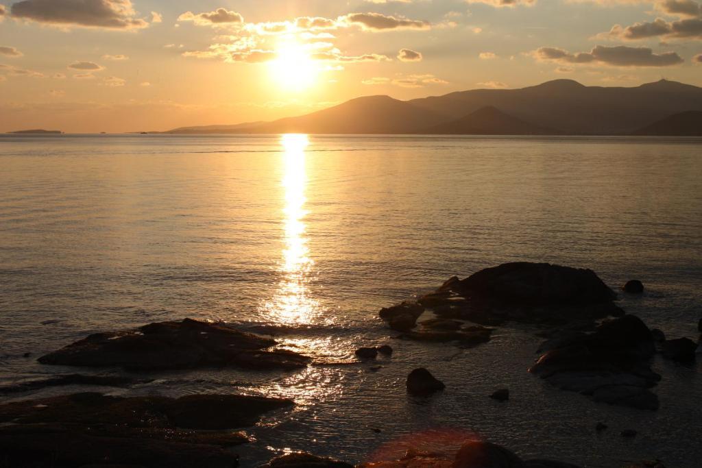 Mina'S Studios In Naxos Island 아기오스프로코피오스 외부 사진