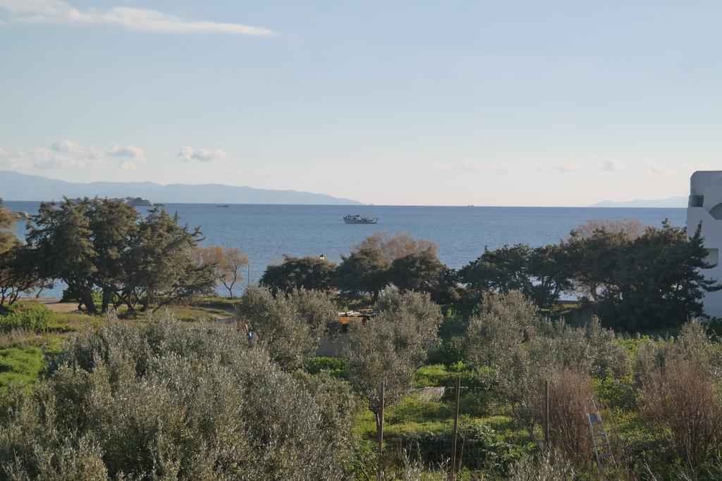 Mina'S Studios In Naxos Island 아기오스프로코피오스 외부 사진